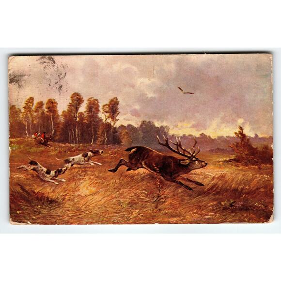 Vintage 1910 Muller Signed Artist Postcard Hunting Scene with Dogs - Picture 1 of 2